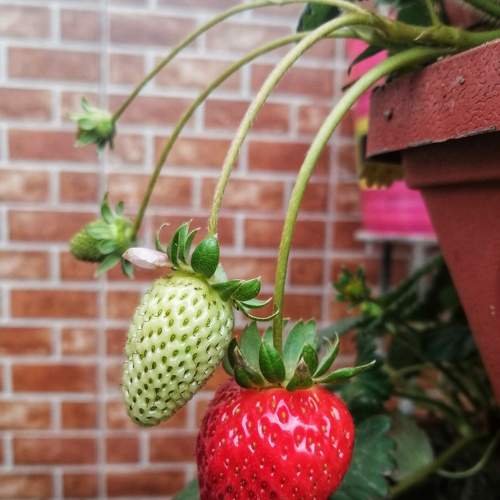 Photo #6358448