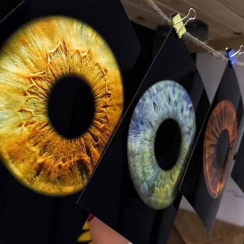 Depth iris.