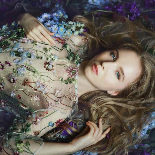 Photo #6358682