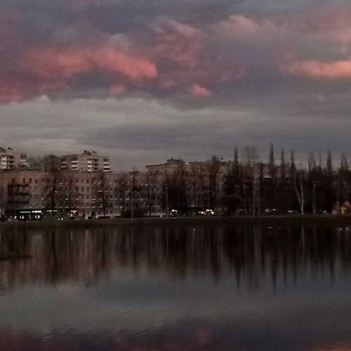 Photo #6359035