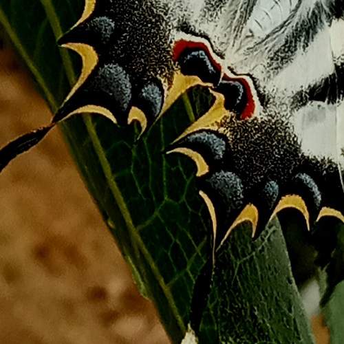 Photo #6359166
