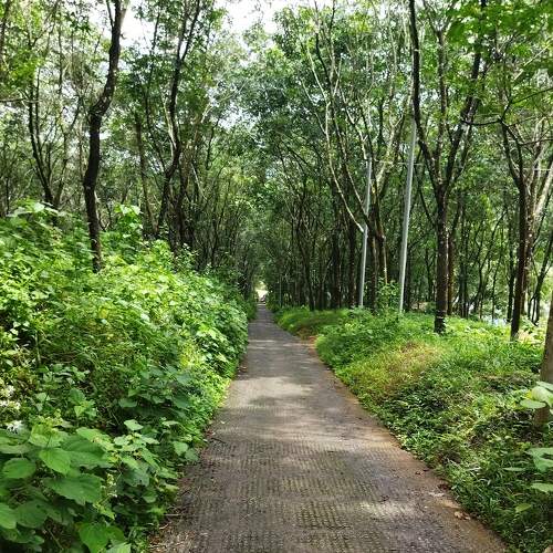Photo #6359255