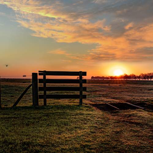 Morning has broken