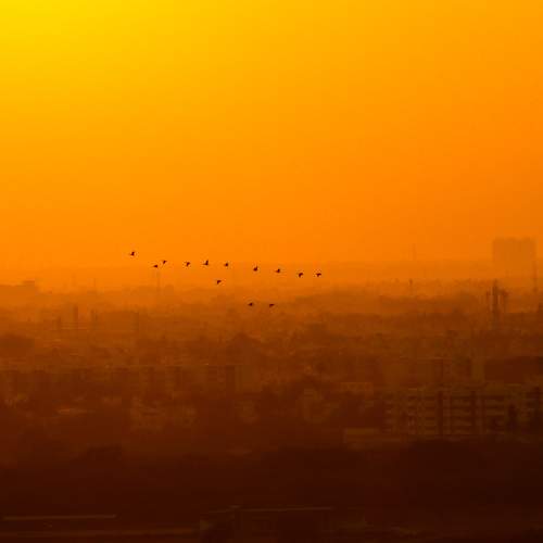 Photo #6359355