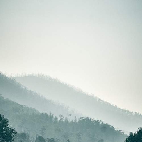 Photo #6359368