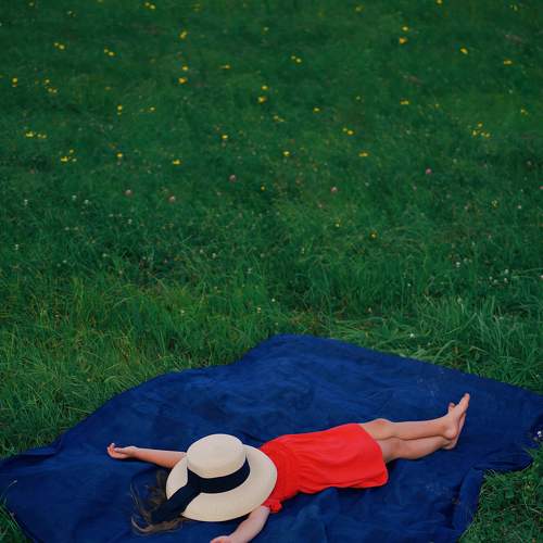 Photo #6359392