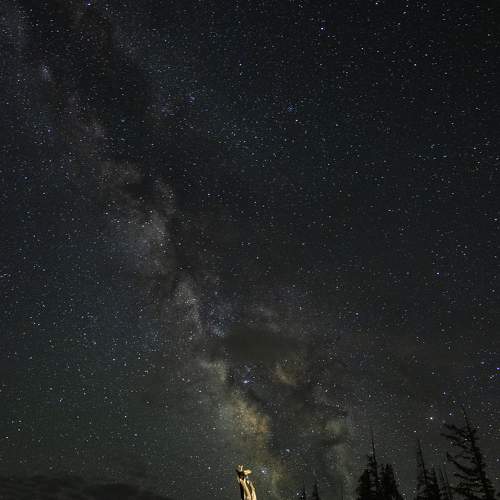Photo #6359422