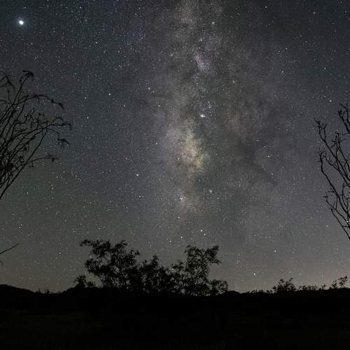 Photo #6359464