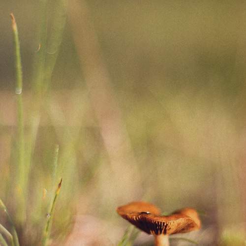 Photo #6361251