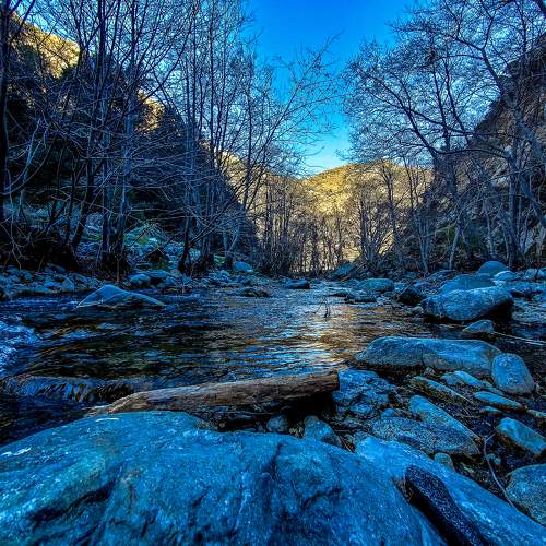Photo #6361482