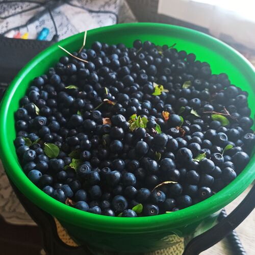 Photo #6361502