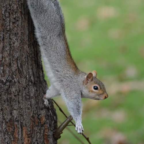 Photo #6361693