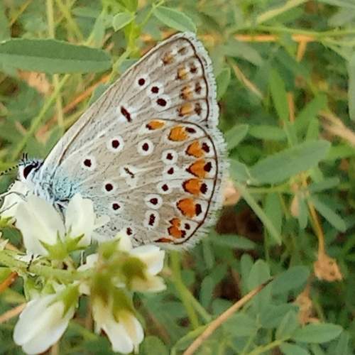 Photo #6362340