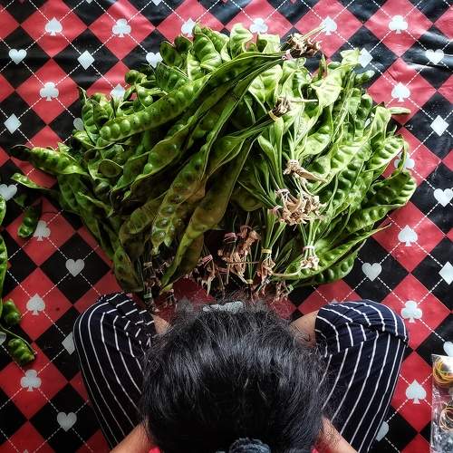 Photo #6362463