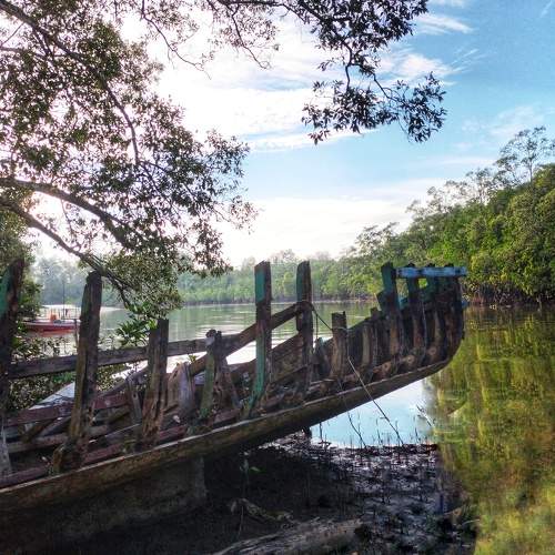 Photo #6362505
