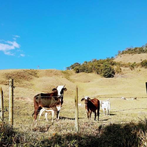 Mountains of Orvalho (Montanhas de Orvalho)