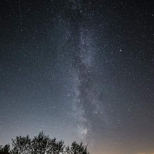 Photo #6364030