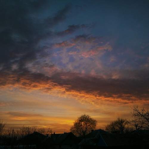 Photo #6364120