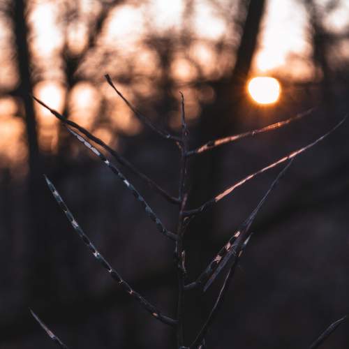 Photo #6364227