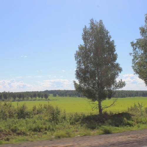 Photo #6364232