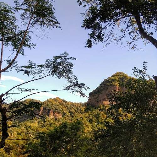 Photo #6364339