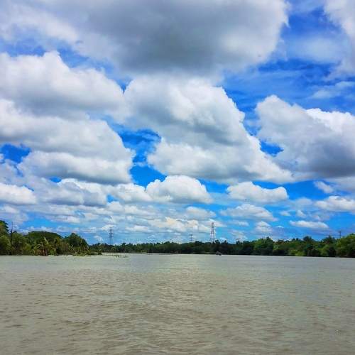 Photo #6364472