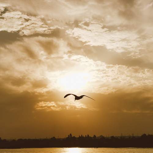 Photo #6365064