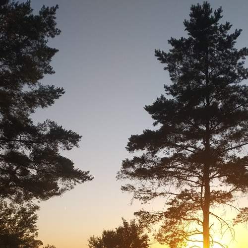 Photo #6365775