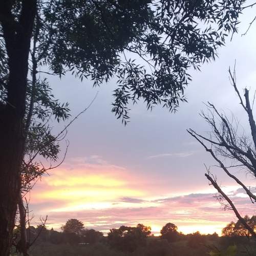 Photo #6365786