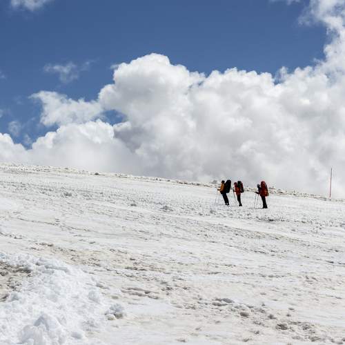 Photo #6366091