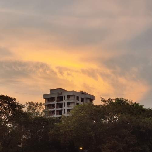 Photo #6366173