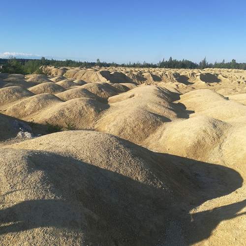 Photo #6367100