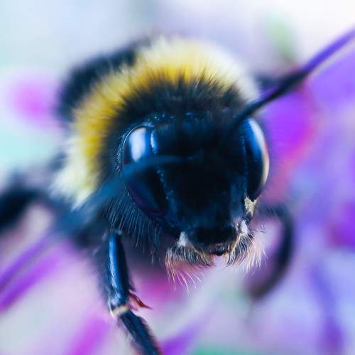 Photo #6367643