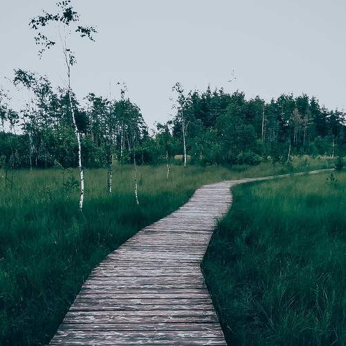 Photo #6367737