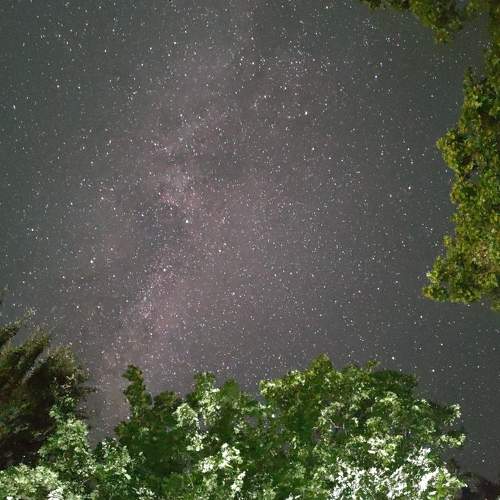 Photo #6367885