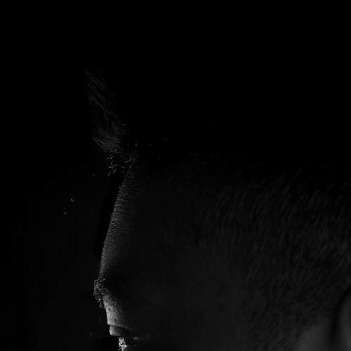 Photo #6368041