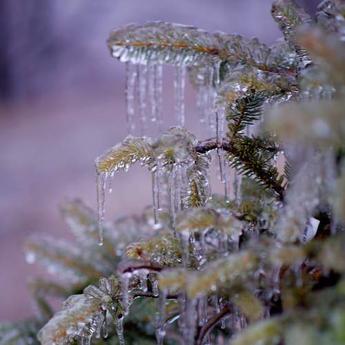 Photo #6368250