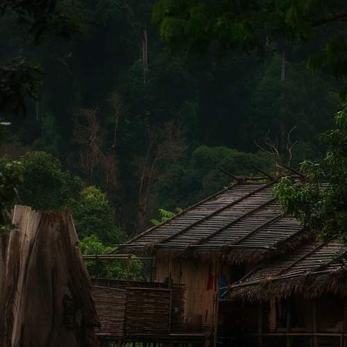 Photo #6368638