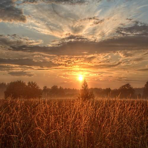 Photo #6368644
