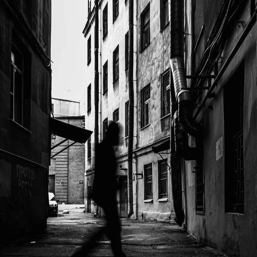 Photo #6368671