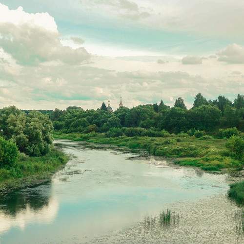 Photo #6369326