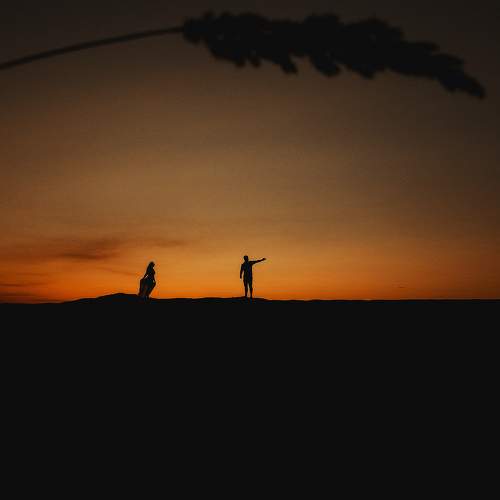 Photo #6369765