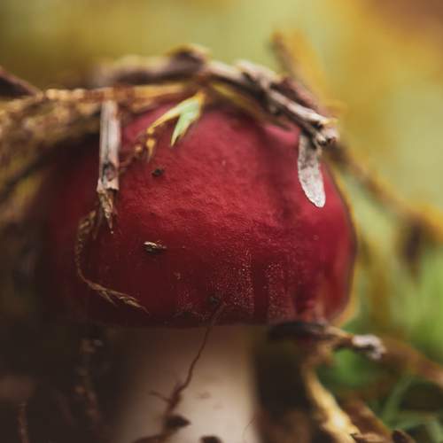 Photo #6369938