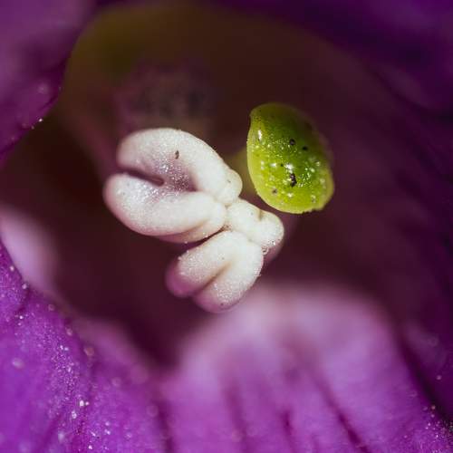 Photo #6369991