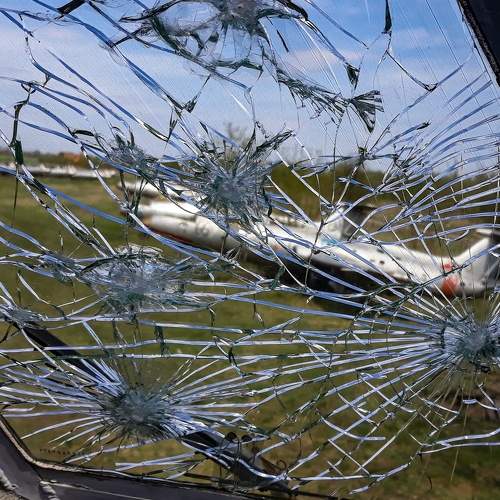 Photo #6370461