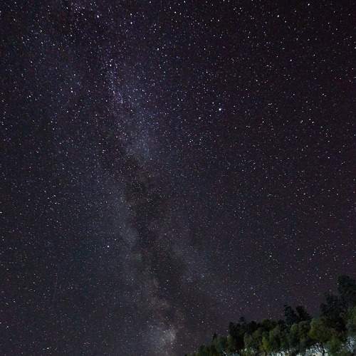 Photo #6370564