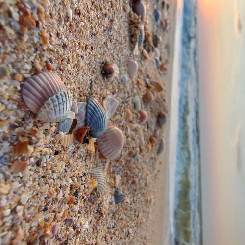 Photo #6370665