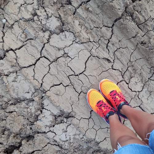 Photo #6370920