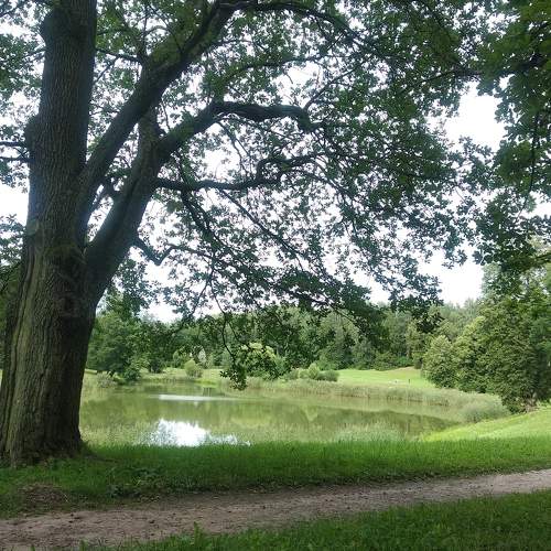 Photo #6372761