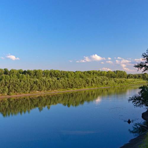 Photo #6373053